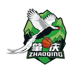 佛山队