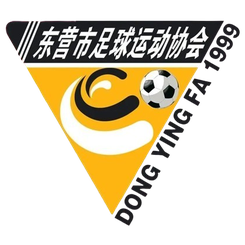 烟台队
